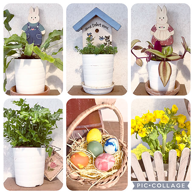 tararaさんの部屋