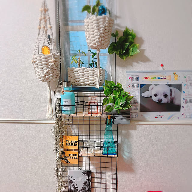 minoさんの実例写真