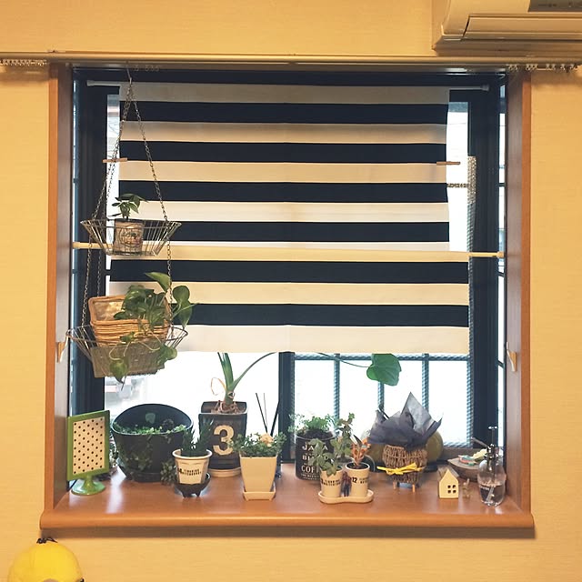 3434xxさんの実例写真