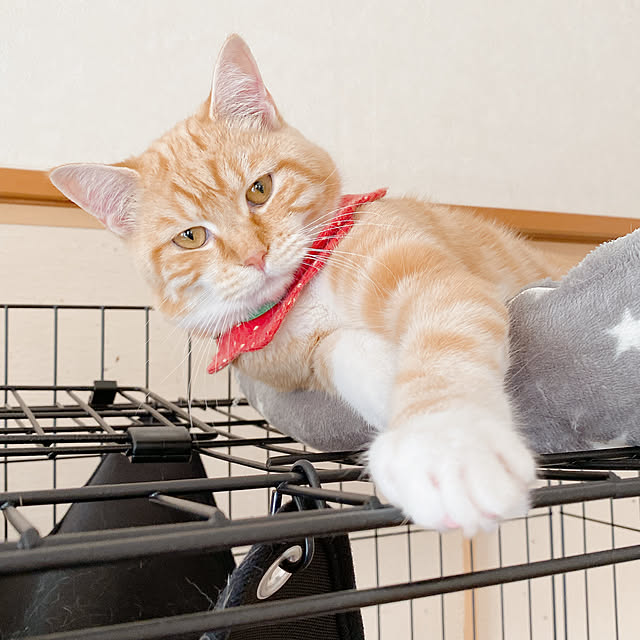 moolさんの部屋