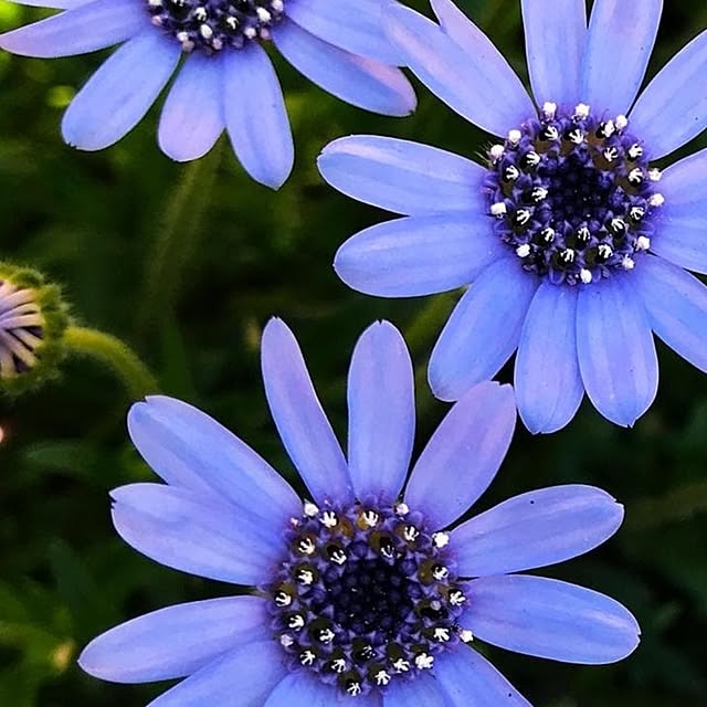 VIORAさんの実例写真