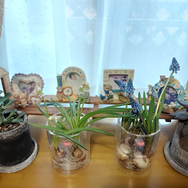nobuさんの実例写真