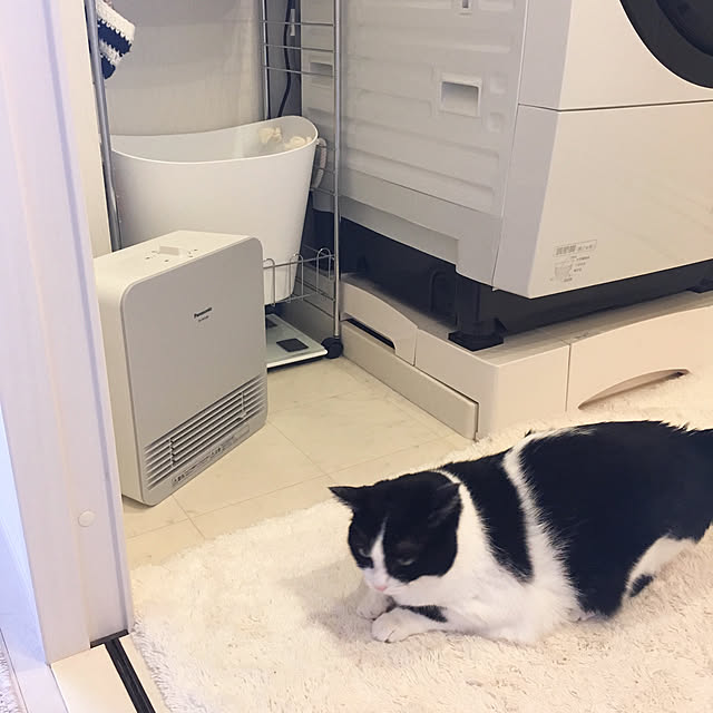 bikkeさんの実例写真
