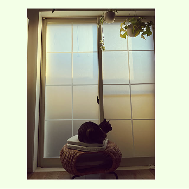 masamasaさんの実例写真