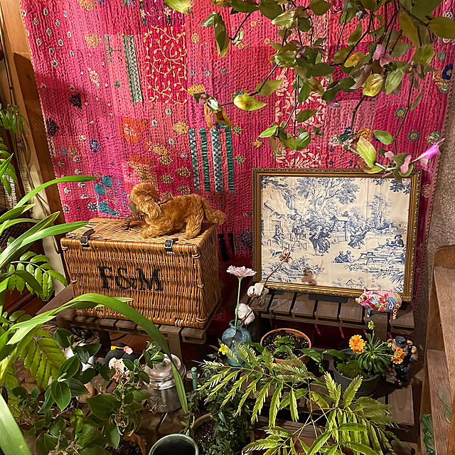 shin0719さんの実例写真