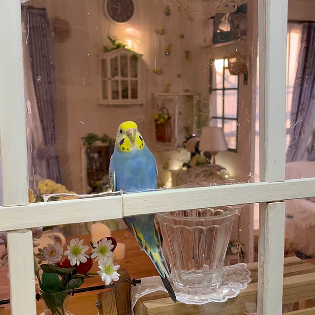 Atsukoさんの部屋