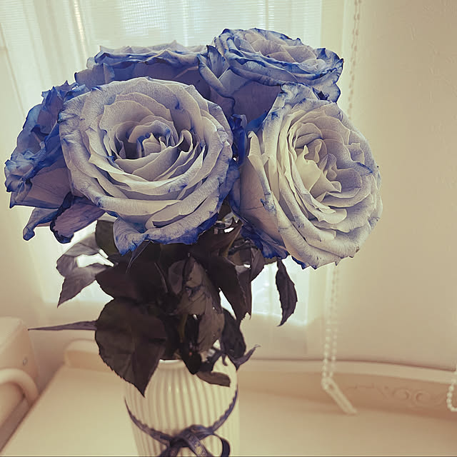 1ove0v01oveさんの実例写真