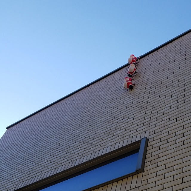 akoさんの実例写真