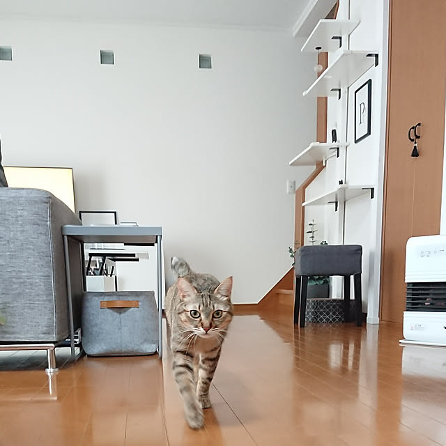 maikyさんの実例写真