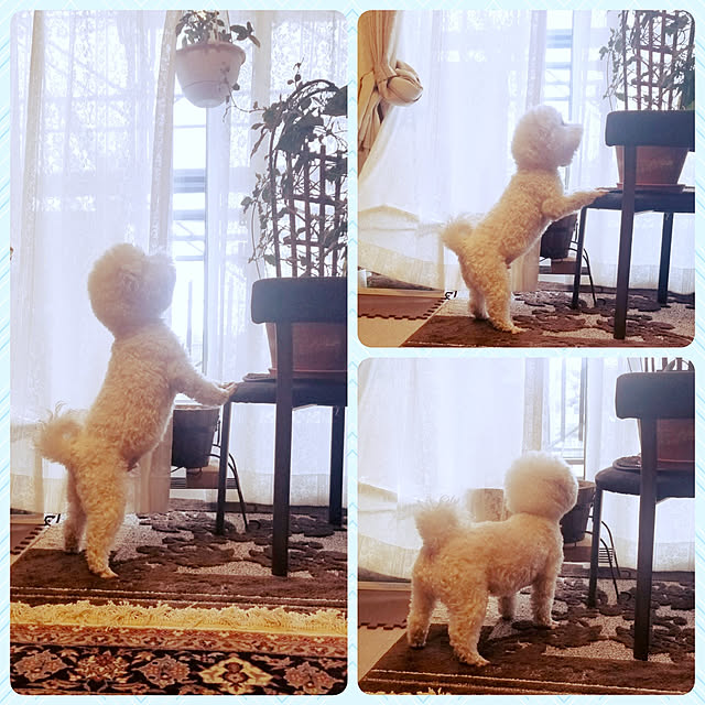 takoさんの実例写真