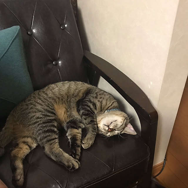 mikan161さんの実例写真