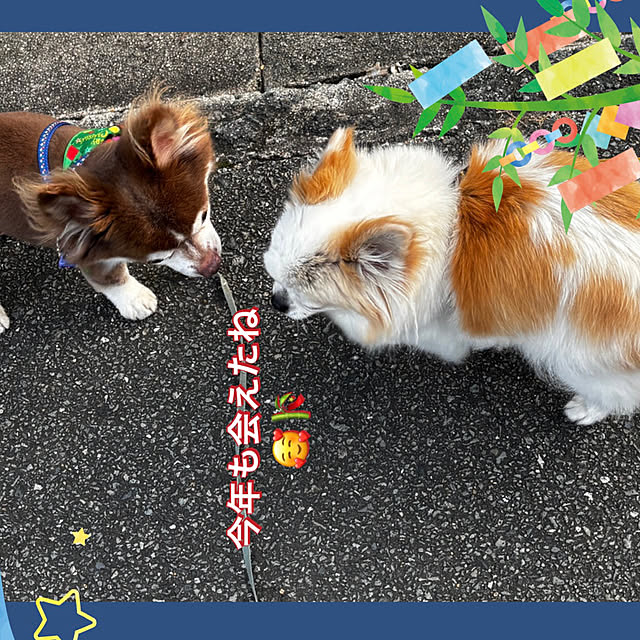chIoeさんの部屋