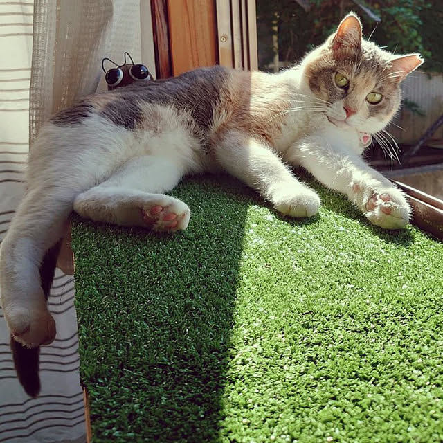 fukuさんの実例写真