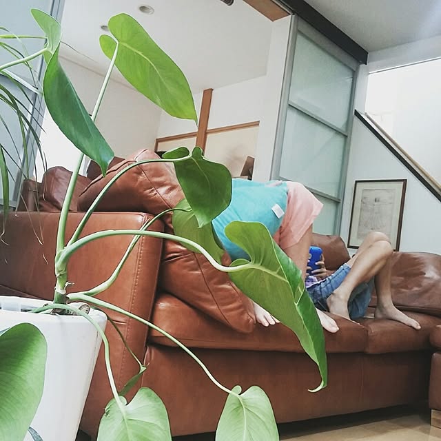 hidetoさんの実例写真