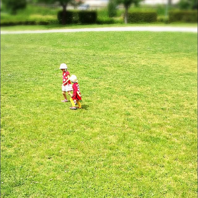 実例写真