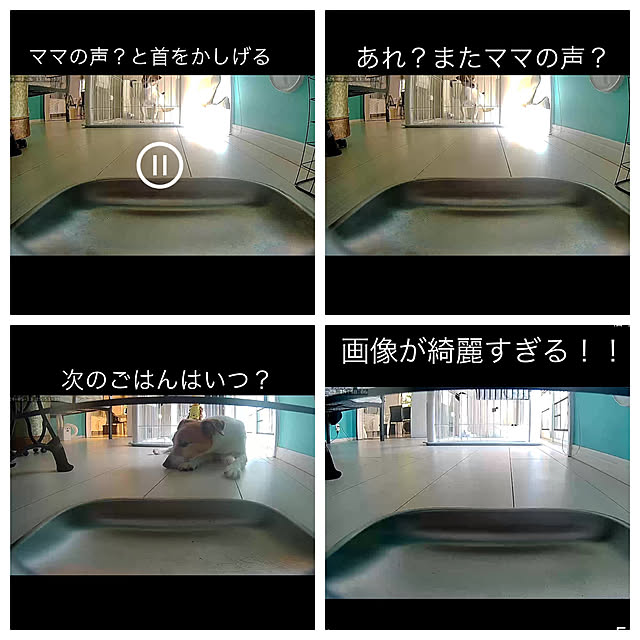 kittyさんの部屋