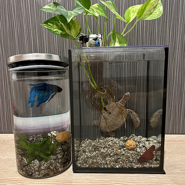 Simbaさんの実例写真