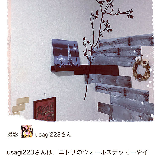 usagi223さんの実例写真
