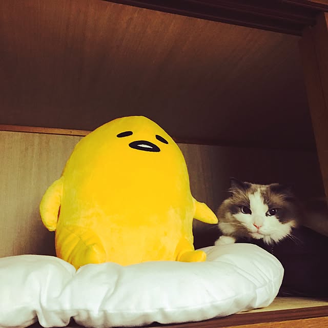 mimimillyさんの実例写真