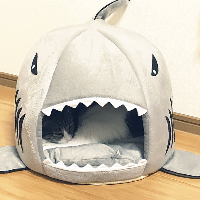 TAMAさんの実例写真