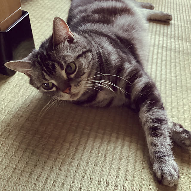 richanさんの実例写真