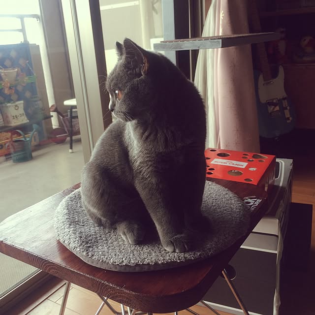 Shojiさんの実例写真