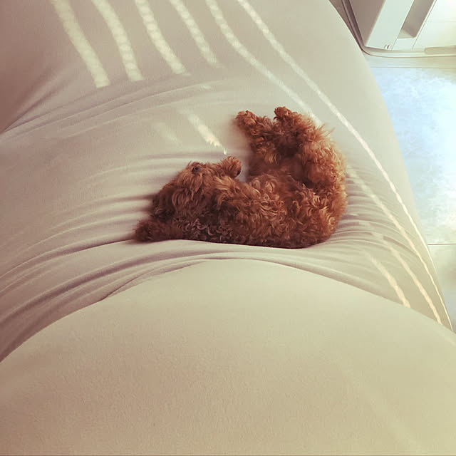 suzyさんの実例写真