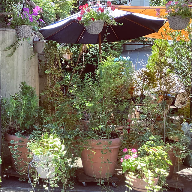madamkaoriさんの部屋