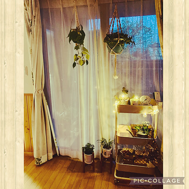 CoCo0617さんの実例写真