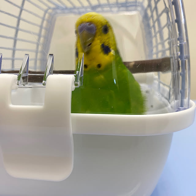 ohanaさんの部屋
