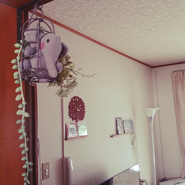 Junkoさんの実例写真