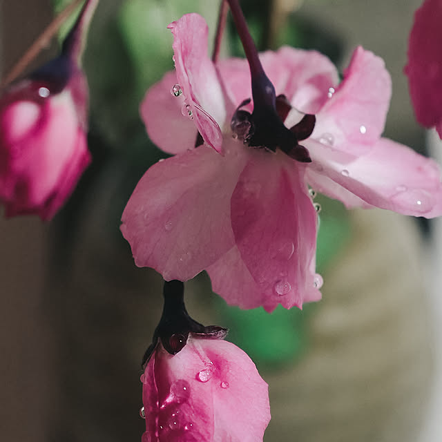 popoponopoさんの部屋