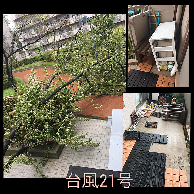 tarezo33さんの実例写真