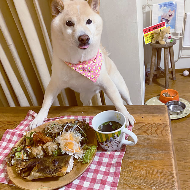 skyさんの実例写真