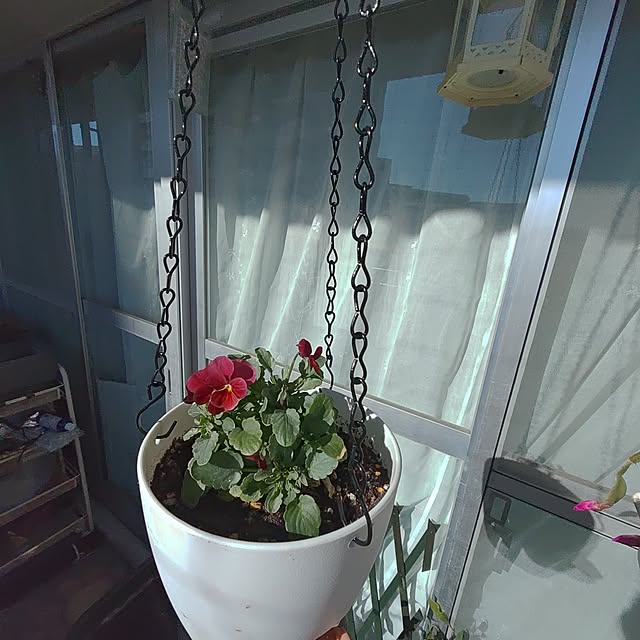 mariaさんの部屋