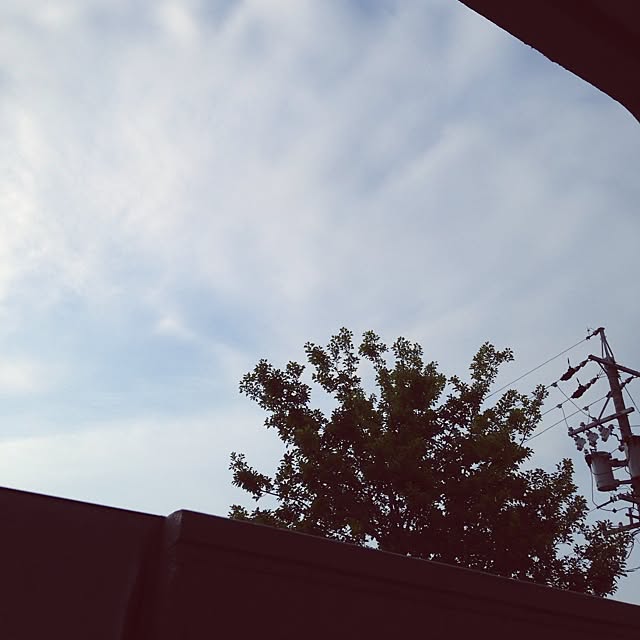 haL_Rokuさんの実例写真