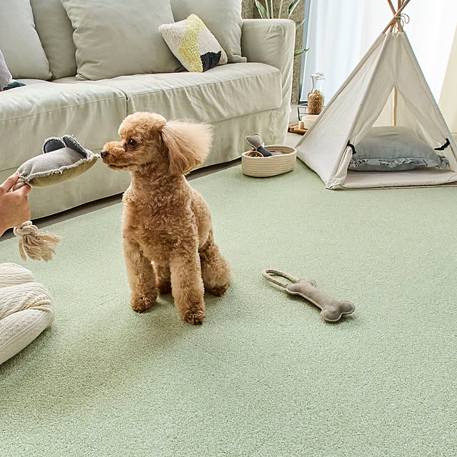 joiterior_officialさんの実例写真