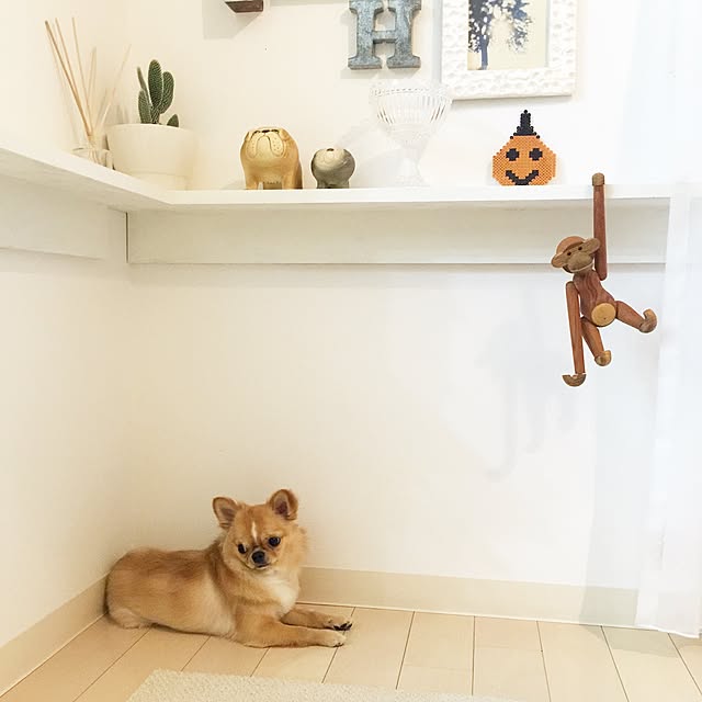 haruhinaさんの実例写真