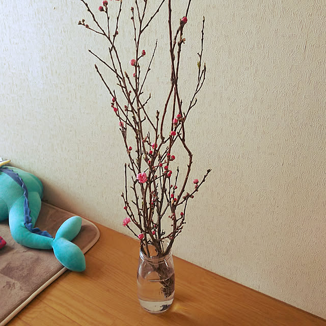 Abbyさんの実例写真