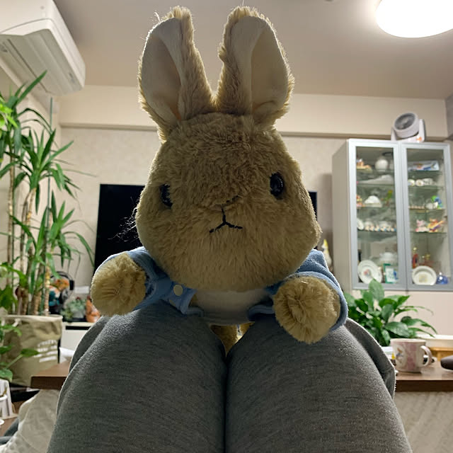 Aqettyさんの実例写真