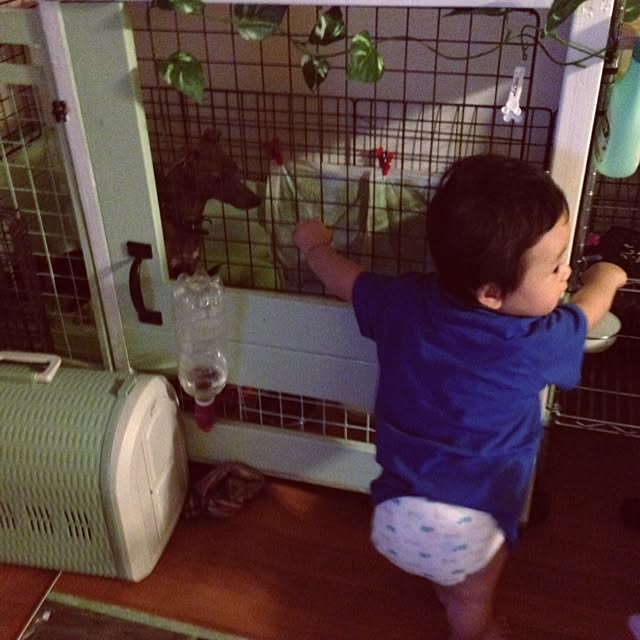 yupinさんの実例写真