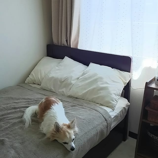 nonさんの実例写真
