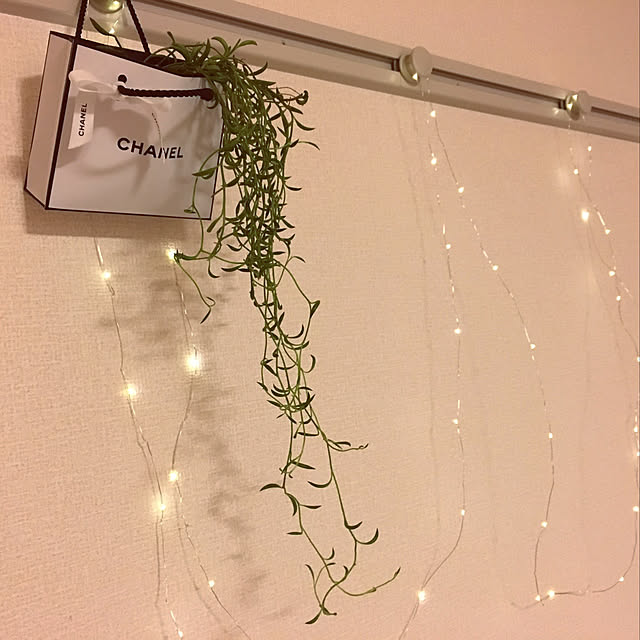 chibi.maruさんの実例写真
