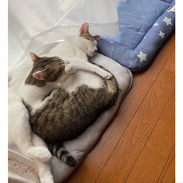 Lufuさんの実例写真
