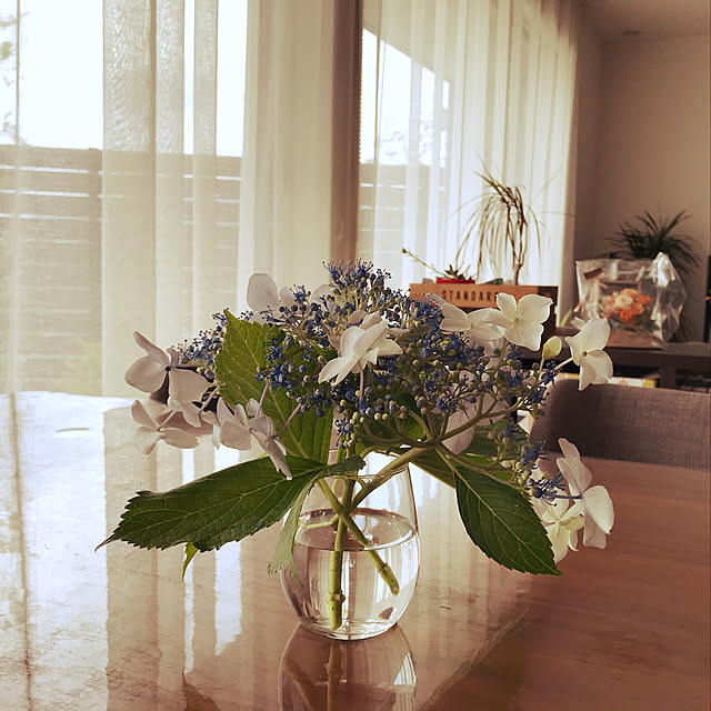 花を愉しむ/緑のある暮らし/紫陽花/ナチュラル/観葉植物...などのインテリア実例 - 2020-06-15 12:01:32