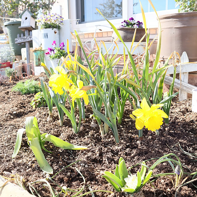 S.homeさんの実例写真