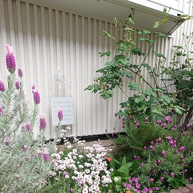 fleur-mamanさんの部屋