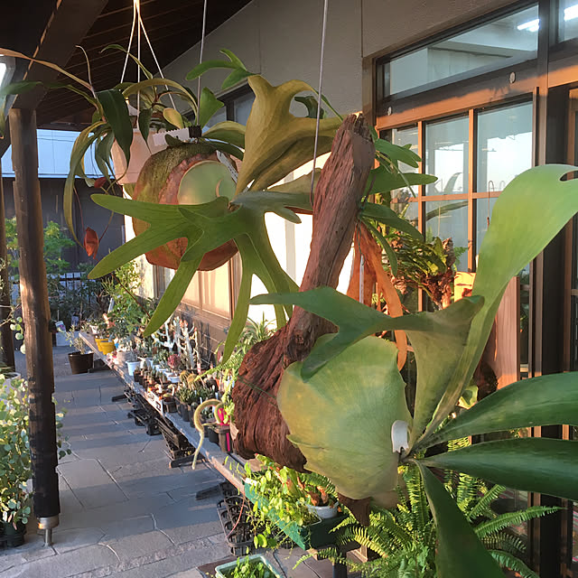 hanabisouさんの実例写真