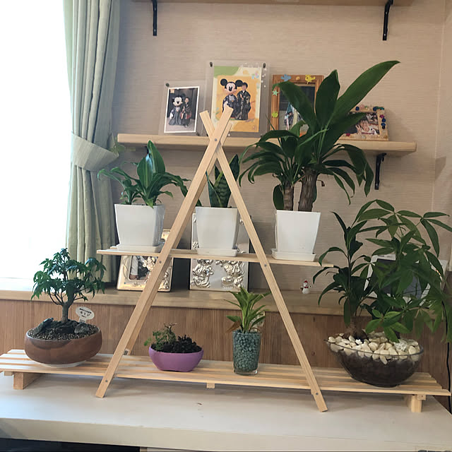 tenten223216さんの実例写真