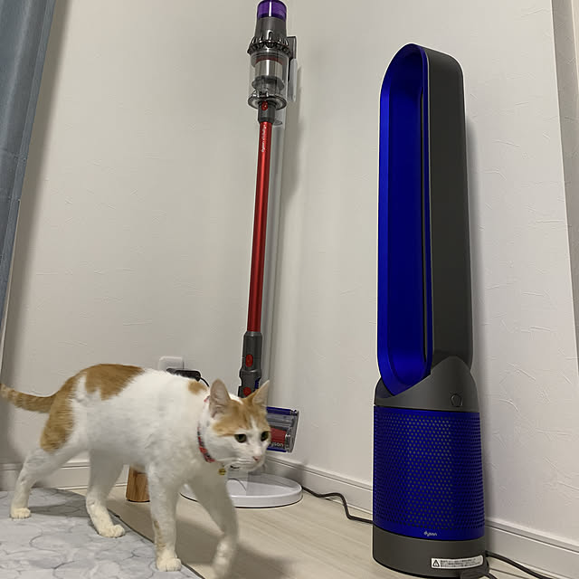 ダイソン 扇風機 空気清浄機能付ファン ピュア クール Dyson ダイソン 扇風機 空気清浄機能付ファン ピュア クール Dyson